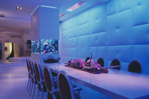 Modern Aquarium by Okeanos Aquascaping1