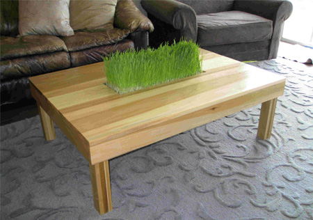 Indoor Grass Table Indoor Grass Table