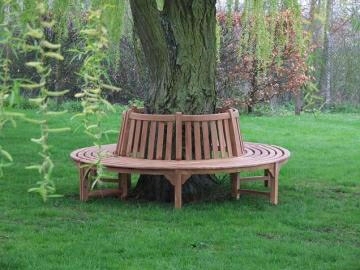 bench