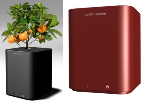 click-grow_06_si94W_22976