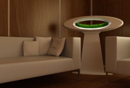 grasslamp-6_IZmXj_1822
