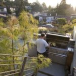 Beautiful Eco-Friendly Margarido House in Oakland, California