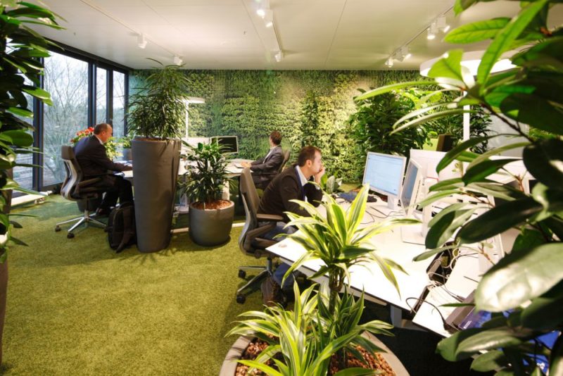 Green Walls A Cool Design Accent For Offices With Personality