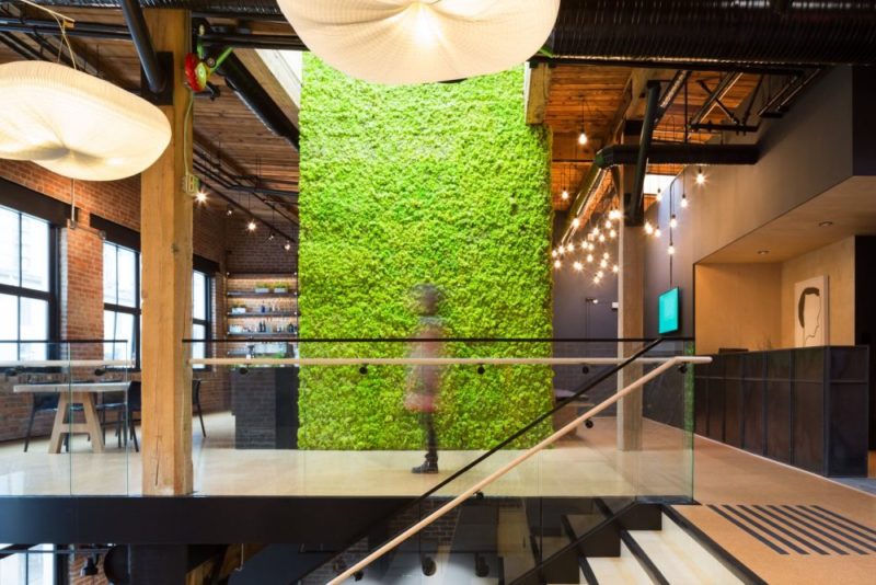 Green Walls A Cool Design Accent For Offices With Personality