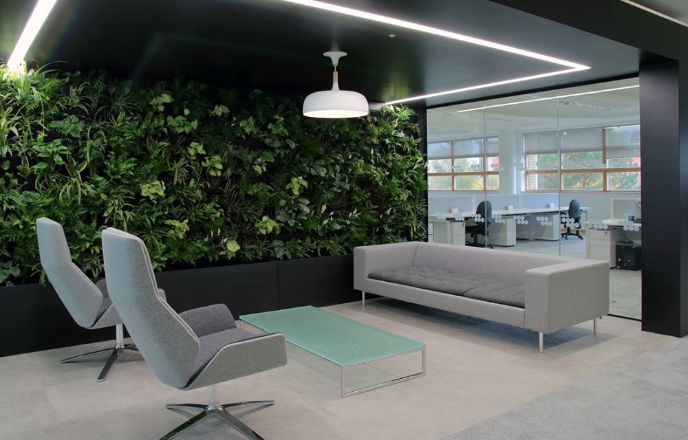 Green Walls - A Cool Design Accent For Offices With Personality