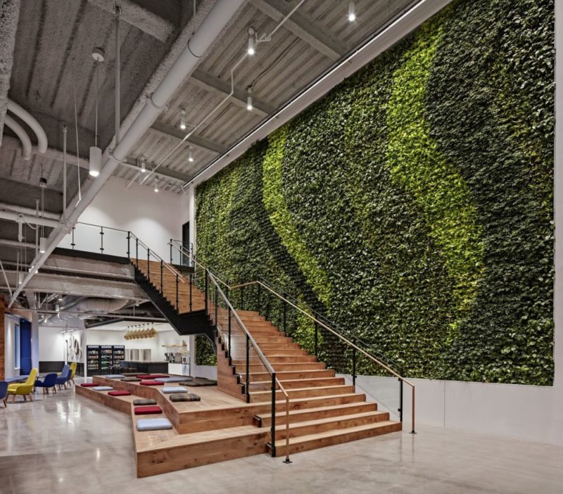 Green Walls - A Cool Design Accent For Offices With Personality