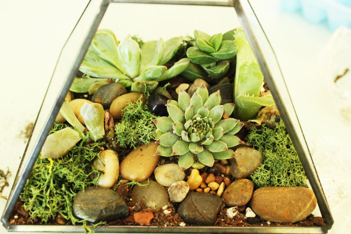 DIY terrarium tutorial