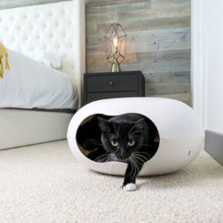 Cat Cave – Small Dog House
