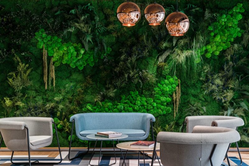 Use Green Walls to Create a Healthier Environment Indoors or Outside