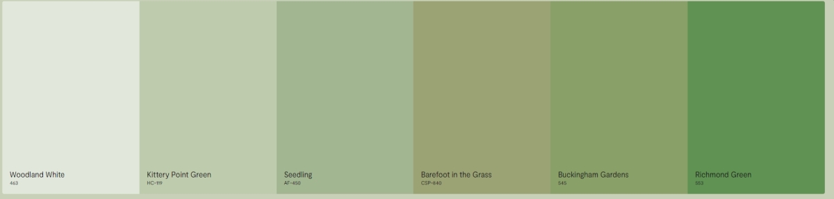 Different Gray Green Shades
